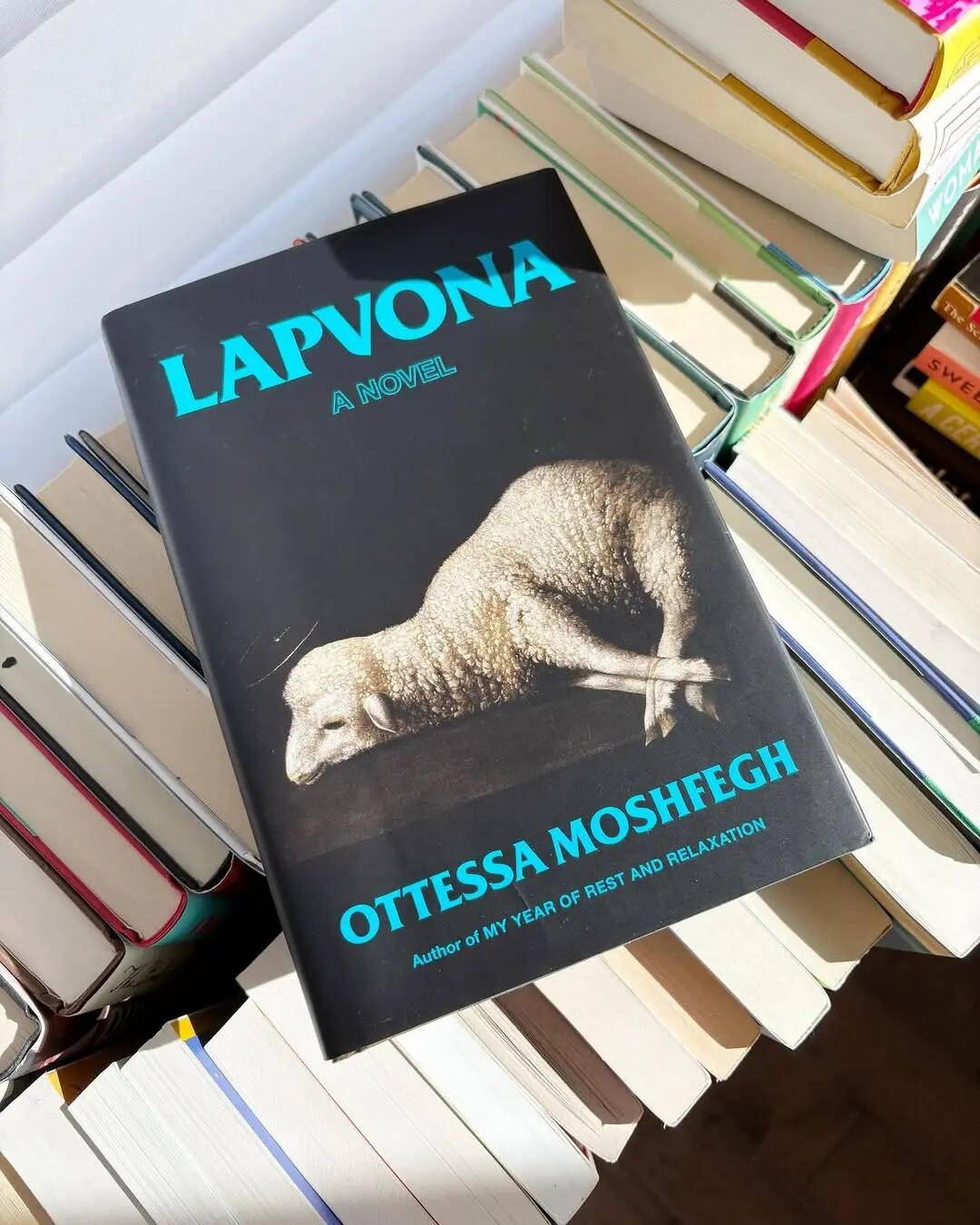 Lapvona