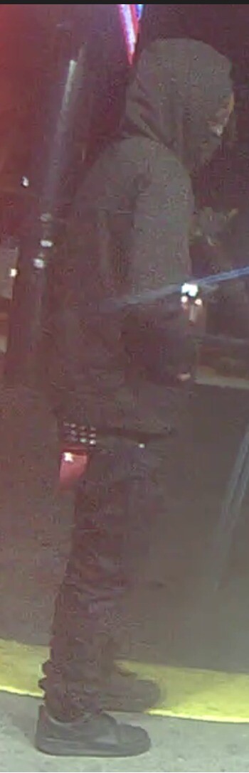 Suspect Description