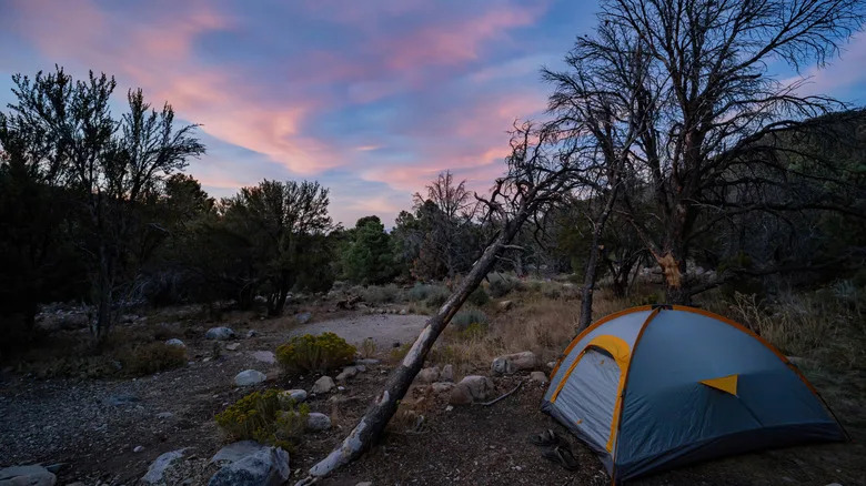 camping Great Basin National Park