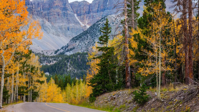 a-hidden-gem-among-americas-national-parks-discover-scenic-fall-hiking-trails.webp.jpeg