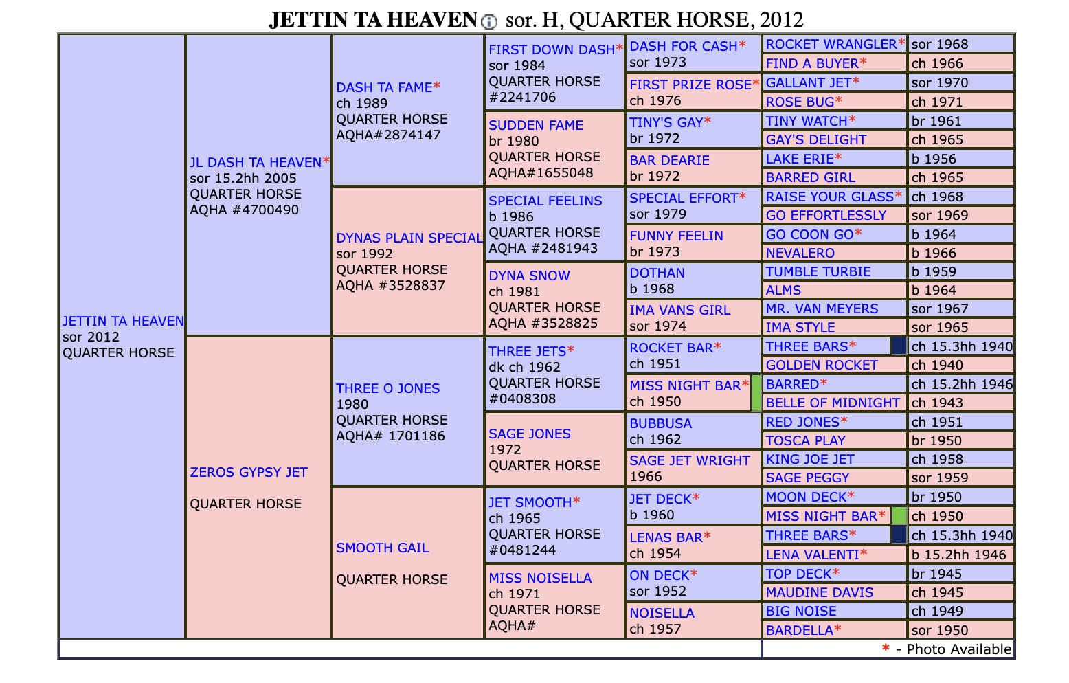 Jettin ta Heaven Pedigree