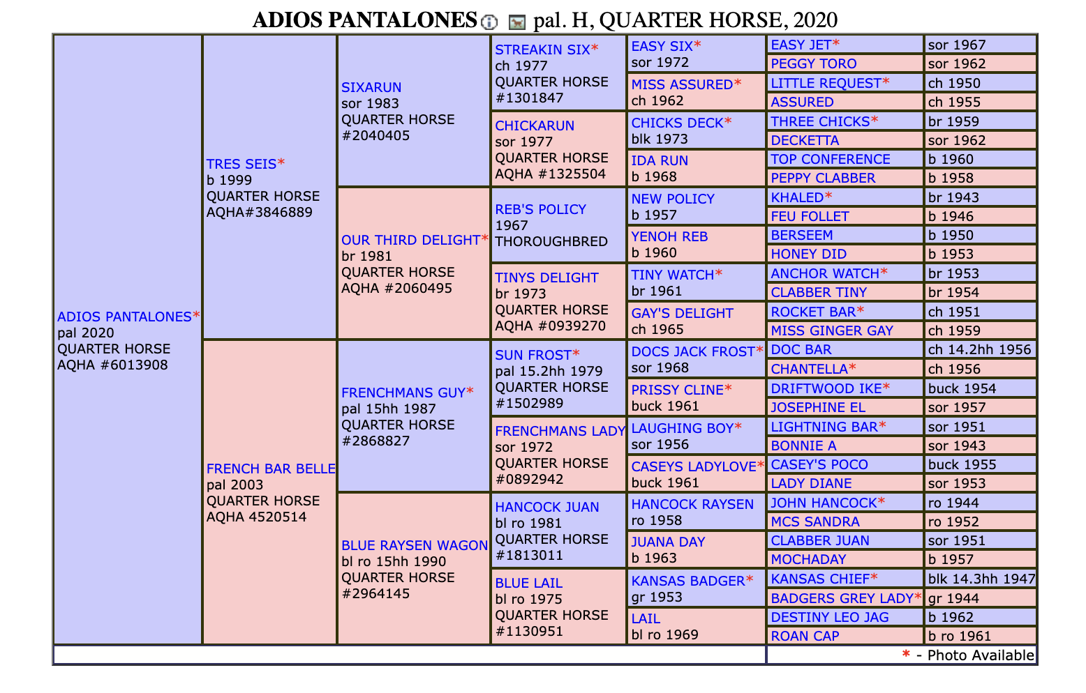 Adios Pantalones Pedigree