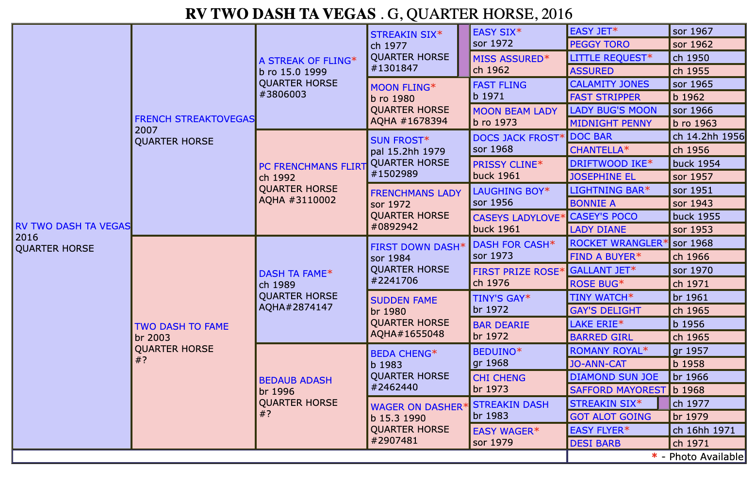 RV Two Dash Ta Vegas Pedigree