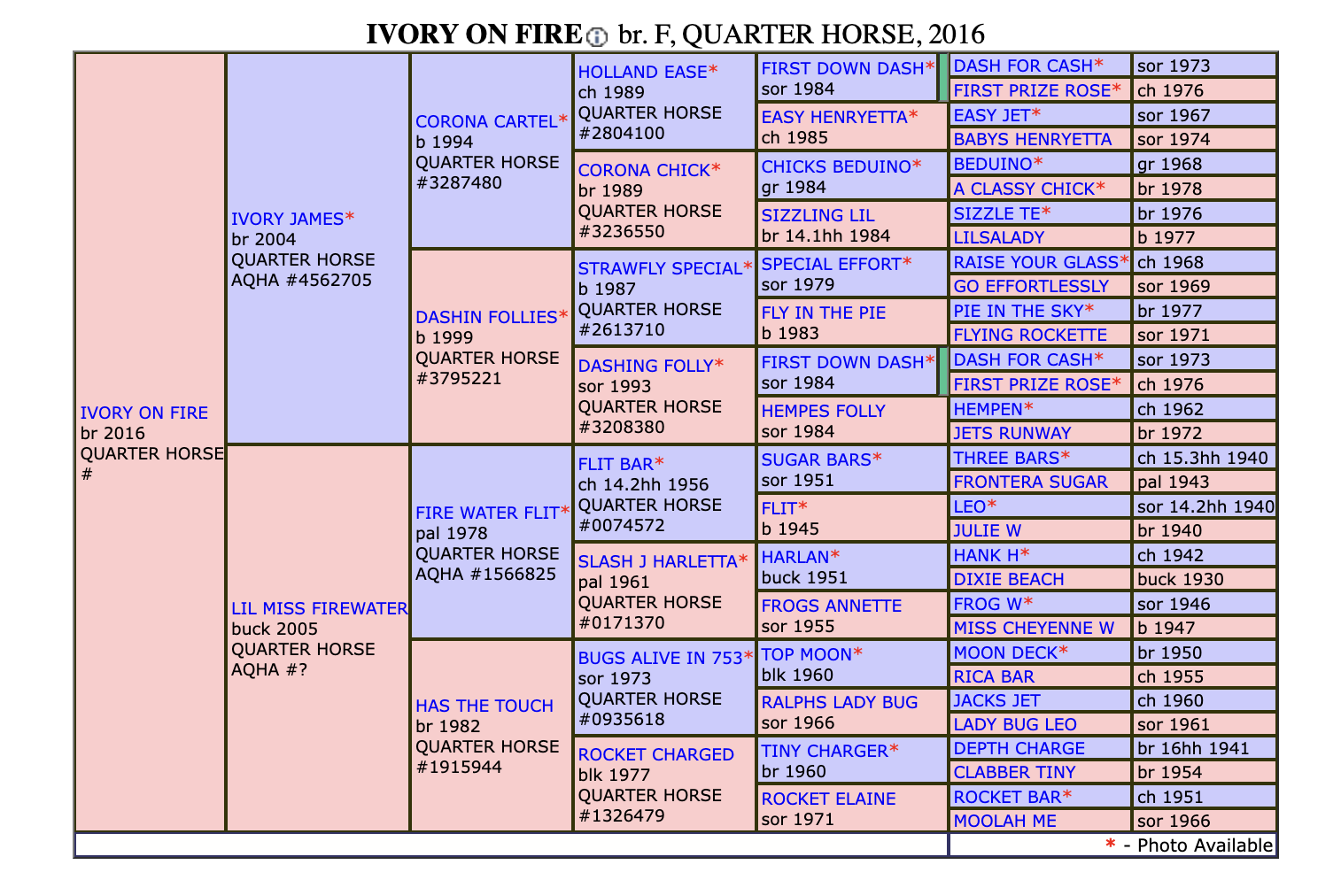 Ivory On Fire Pedigree