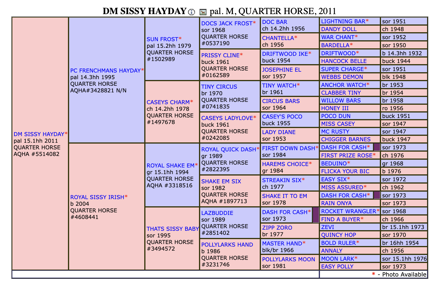 DM Sissy Hayday Pedigree